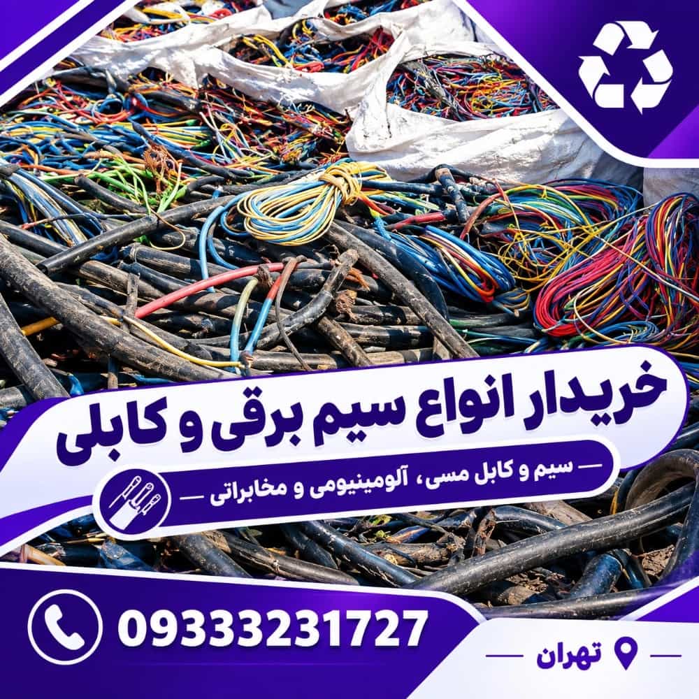 1791011226993.webp